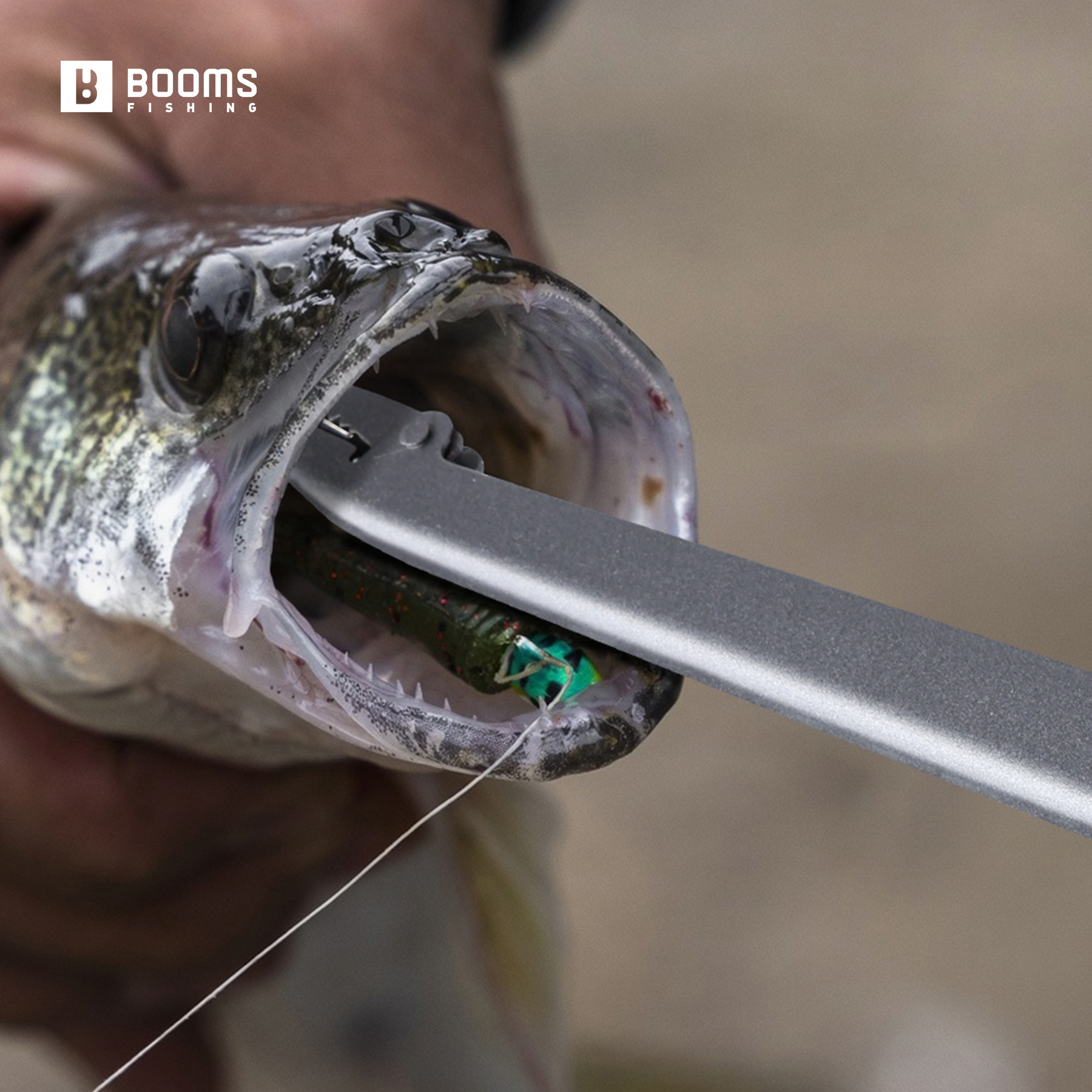 Booms Fishing 25cm Carbon Stee - đánh giá và giá Fishing Equipment Pictures