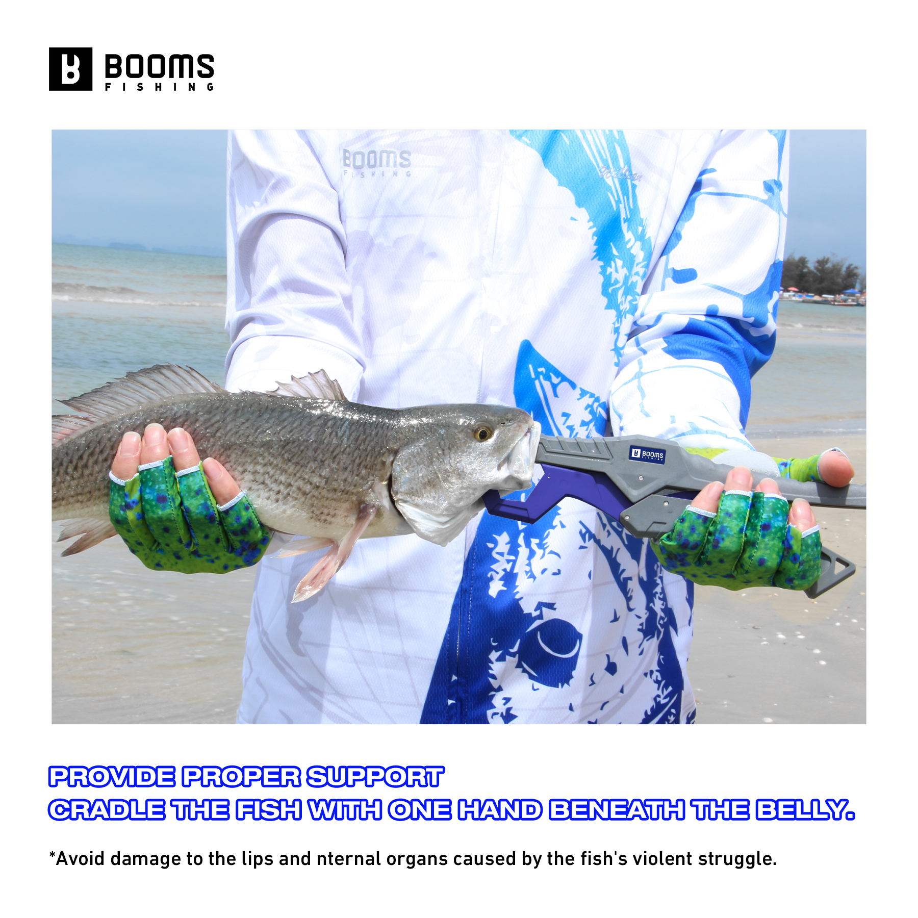 Booms Fishing 23cm Pliers and  - đánh giá và giá Fishing Equipment Pictures